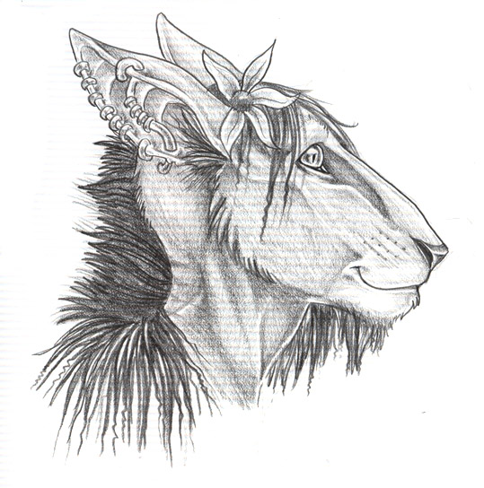 Goat Face Sketch at PaintingValley.com | Explore collection of Goat