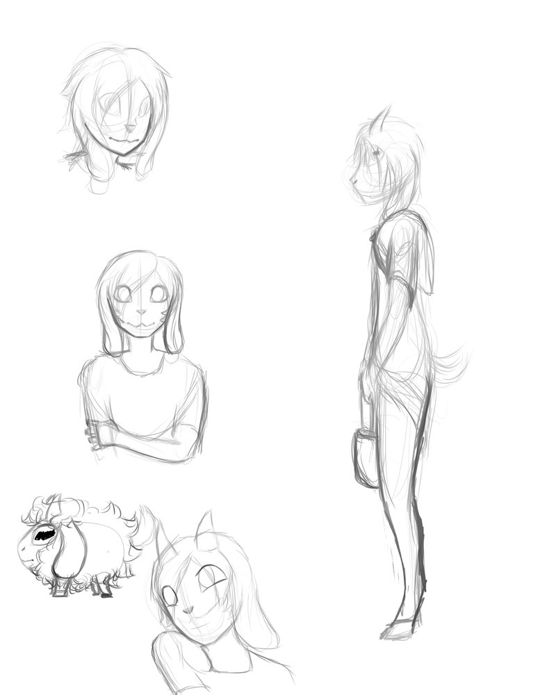 800x1000 Sketch Goat By Richigo1211 - Goat Face Sketch