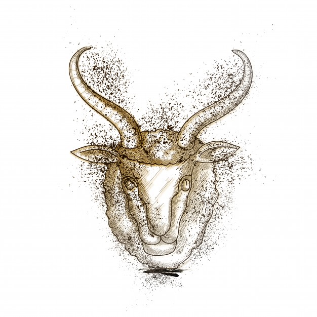 626x626 Abstract Illustration Of Goat Face. Vector Premium Download - Goat Face Sketch