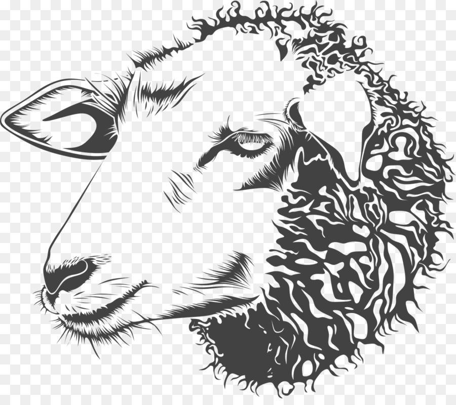900x800 Cotswold Sheep Goat Sheep Farming Black Sheep Wool - Goat Face Sketch
