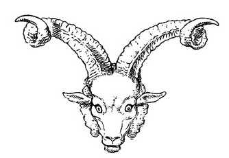 334x230 Filegoat Head Clip Art.jpg - Goat Head Sketch