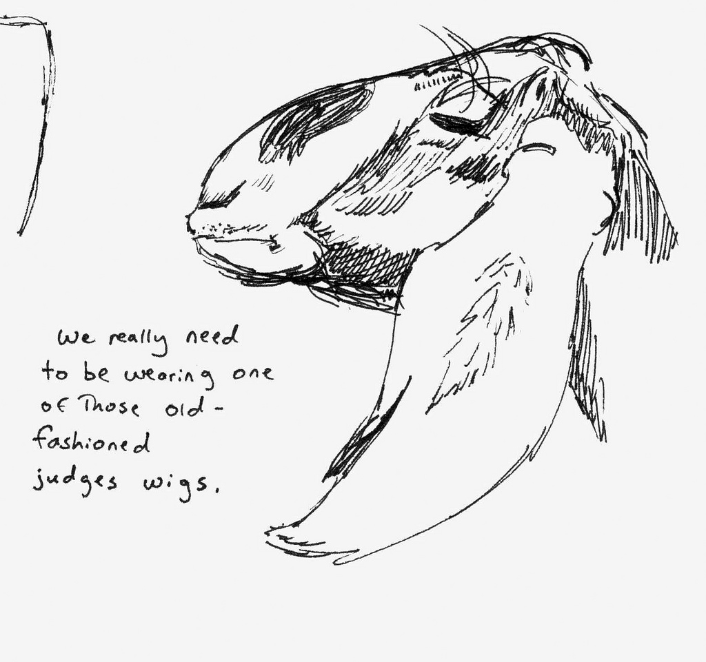 1024x961 Goat Head Sketch Just A Silly Quick Sketch Of A Goat That - Goat Head Sketch