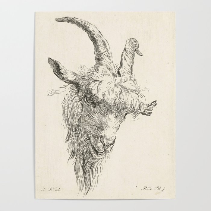 Goat Head Sketch at PaintingValley.com | Explore collection of Goat