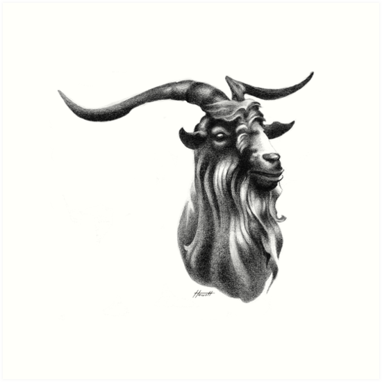 550x550 Billy Goat Head Art Prints By Patricia Howitt Redbubble - Goat Head Sketch