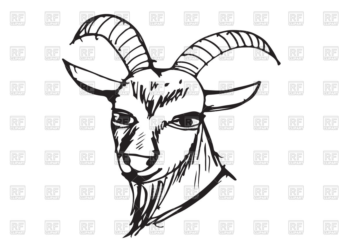 1200x848 Goat Cartoon Sketch Illustration Vector Image Vector Artwork Of - Goat Sketch