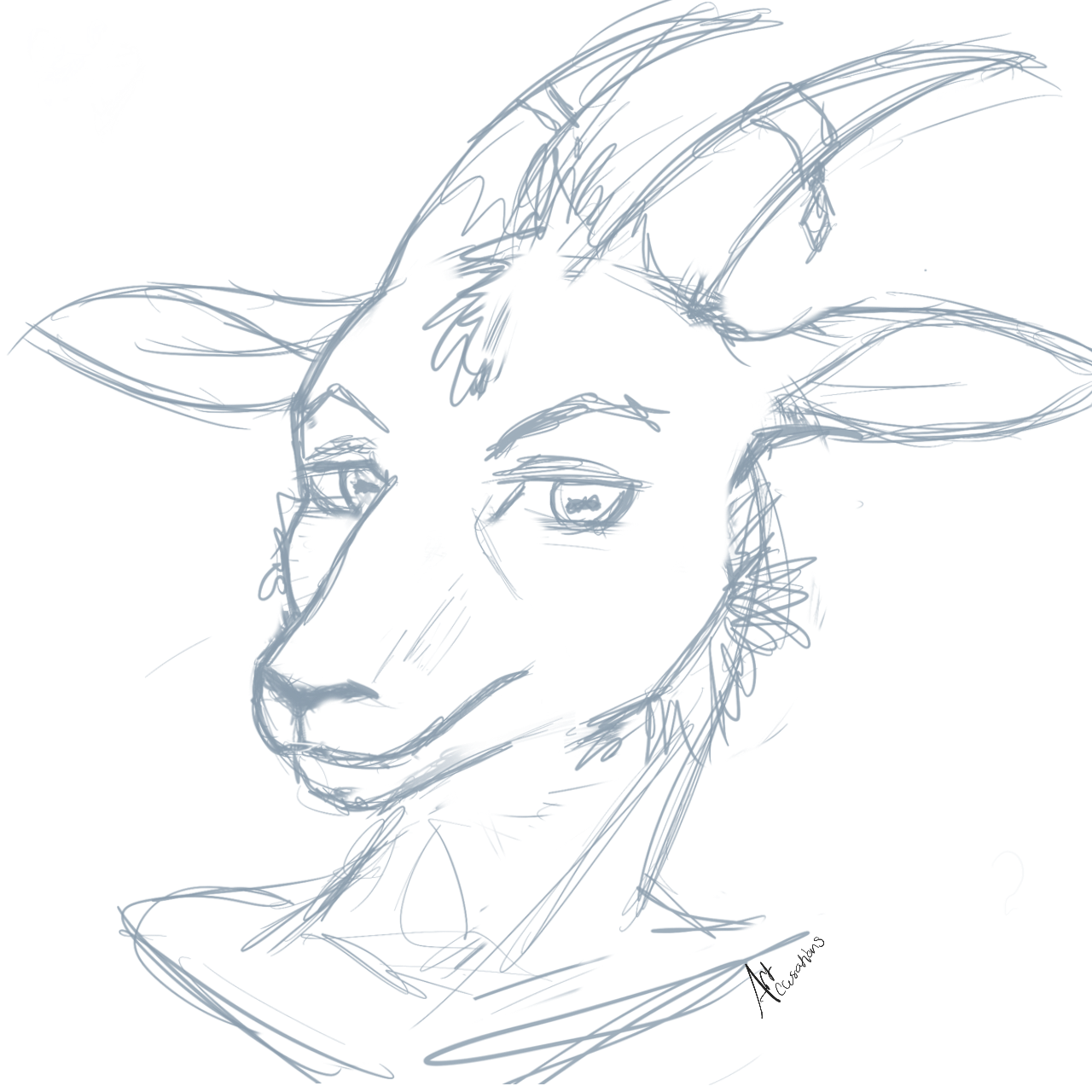 1280x1280 Goat Sketch By Artaccusations - Goat Sketch