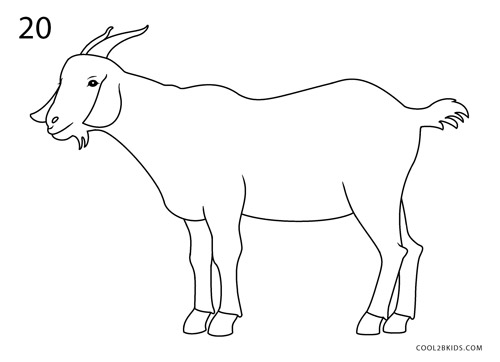 500x362 How To Draw A Goat (Step By Step Pictures) Cool2bkids - Goat Sketch