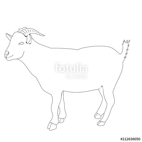 500x500 Isolated Goat Sketch Stock Image And Royalty Free Vector Files On - Goat Sketch