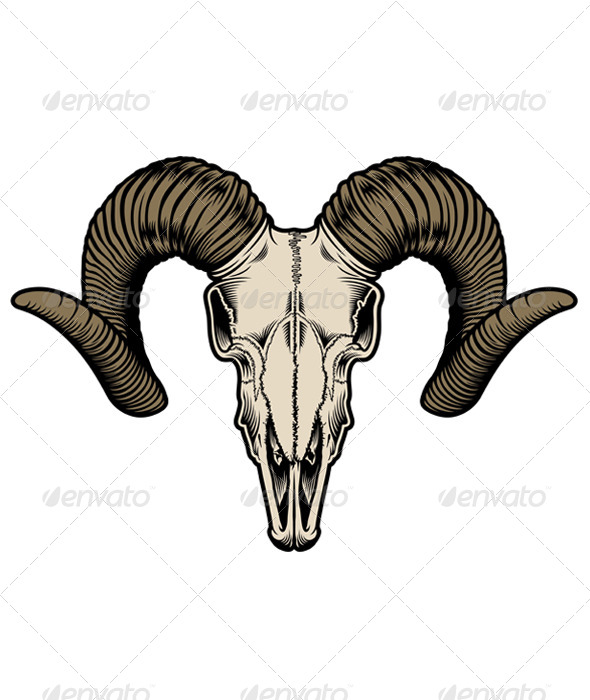 590x700 Goat Skull Vector By Vectorfreak Graphicriver - Goat Skull Sketch