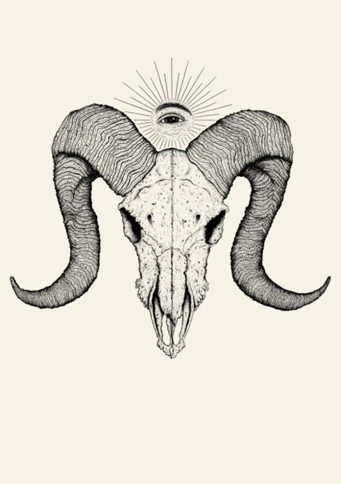 493x700 Pin By Liana Harlan On Ink - Goat Skull Sketch