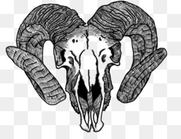 260x200 Skull Tattoo Drawing Sketch - Goat Skull Sketch
