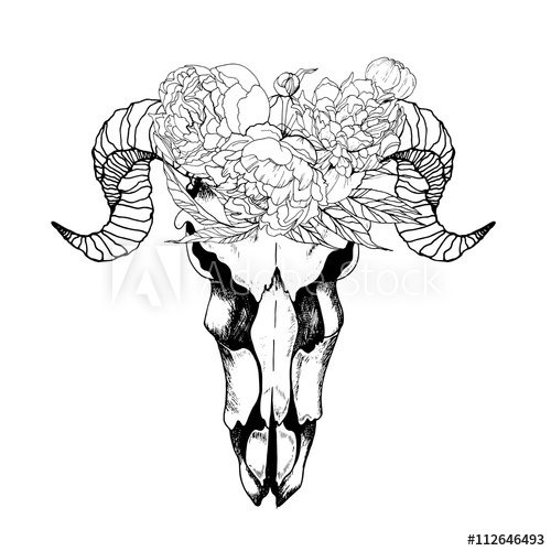500x500 Vector Boho Chic Goat Skull In Flower Wreath. Hand Drawn Engraving - Goat Skull Sketch
