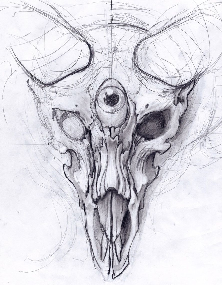 886x1136 Goat Skull Drawings Skull, Tattoos And Drawings - Goat Skull Sketch
