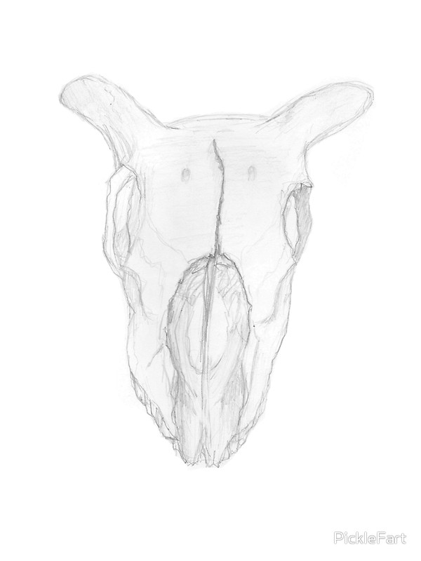 600x800 Goat Skull Sketch Stickers By Picklefart Redbubble - Goat Skull Sketch