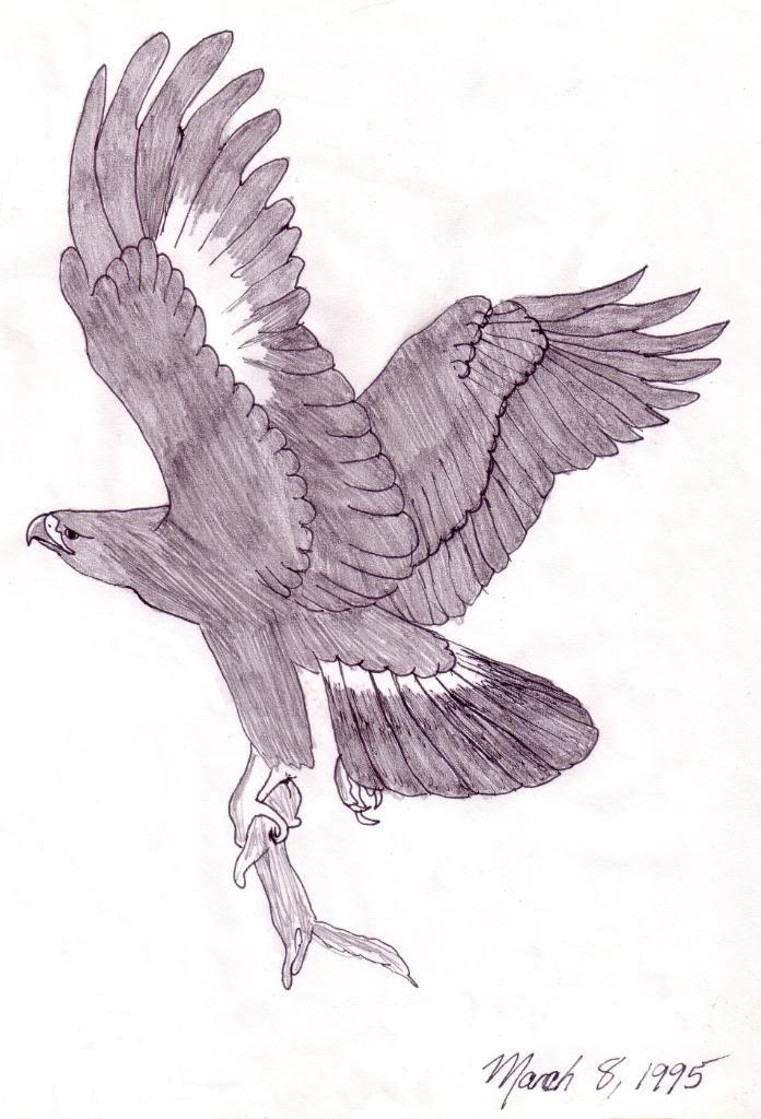696x1024 Golden Eagle Sketch By Foxydingo - Golden Eagle Sketch