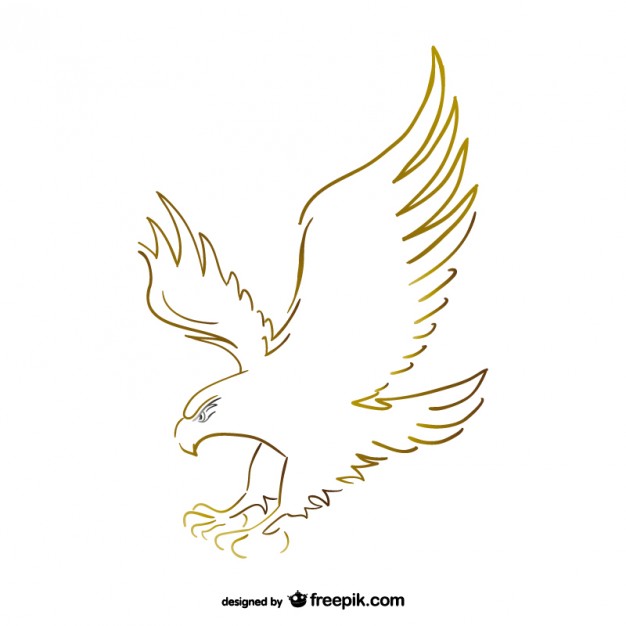 626x626 Eagle Vectors, Photos And Psd Files Free Download - Golden Eagle Sketch