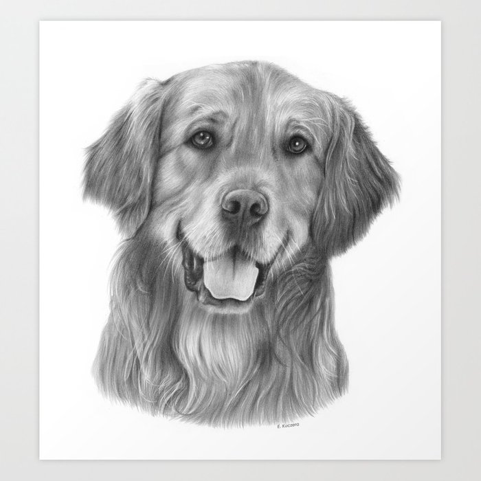 700x700 Golden Retriever Graphite Pencil Drawing Art Print By - Golden Retriever Pencil Sketch
