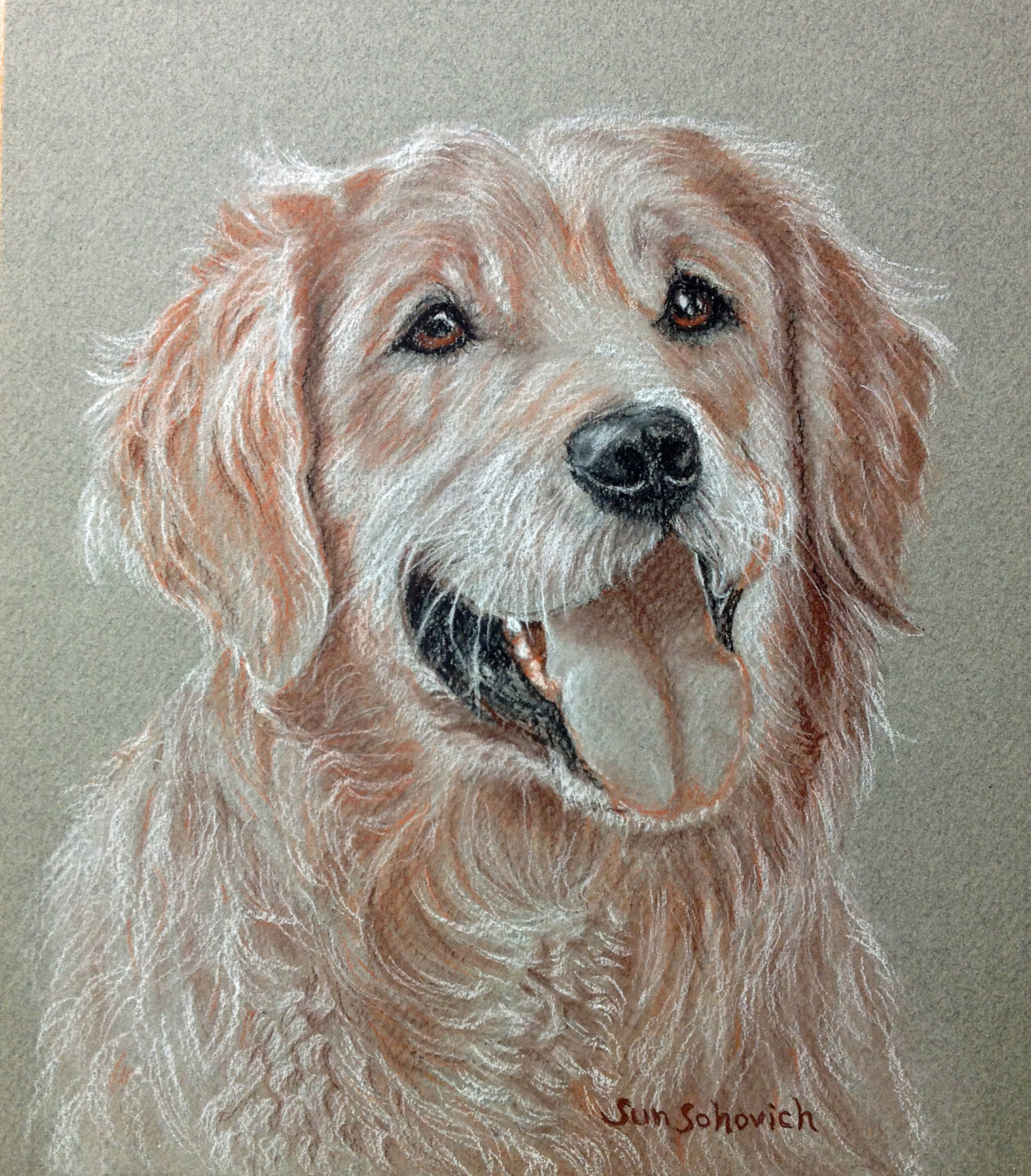 1315x1500 Drawn Golden Retriever Charcoal - Golden Retriever Pencil Sketch