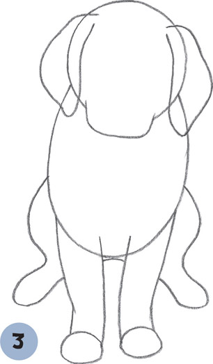 306x523 Golden Retriever Puppy - Golden Retriever Puppy Sketch