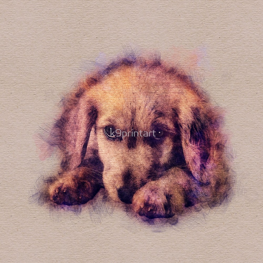 1000x1000 Golden Retriever Puppy Sketch Digital Art By K9printart Redbubble - Golden Retriever Puppy Sketch
