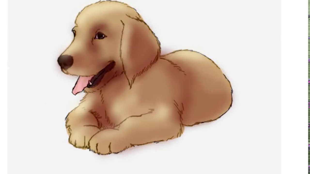 1280x720 How To Draw A Golden Retriever Puppy In Easy Step By Step Drawing - Golden Retriever Puppy Sketch