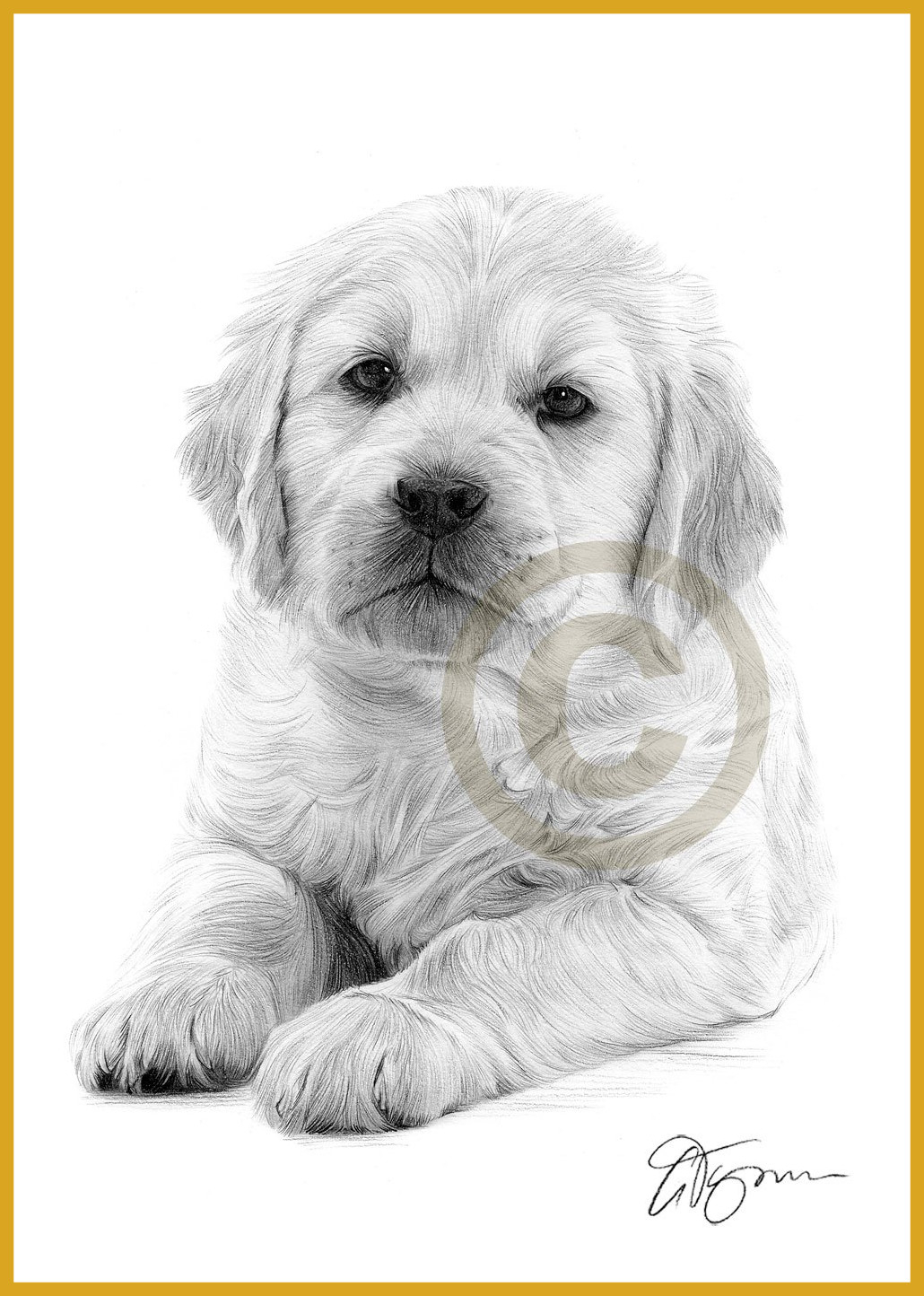 1030x1444 Pencil Sketches Of Puppies Inspiring Drawn Puppy Golden Retriever - Golden Retriever Puppy Sketch