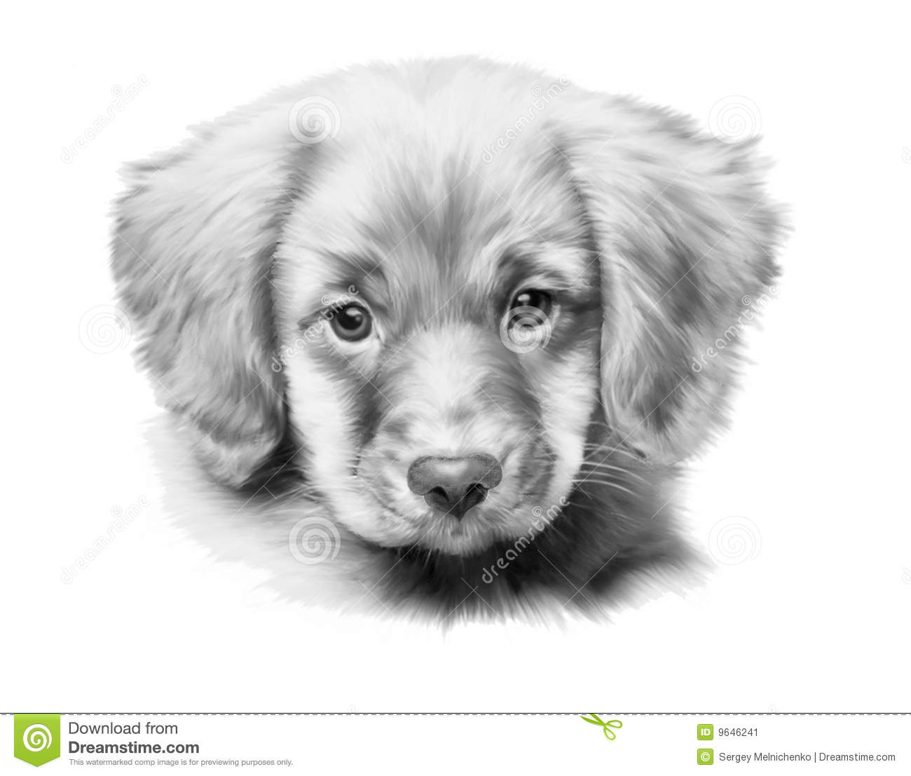 Golden Retriever Puppy Sketch at PaintingValley.com | Explore