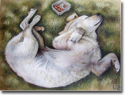 415x315 Golden Retriever Art Prints, Posters, And Paintings - Golden Retriever Puppy Sketch