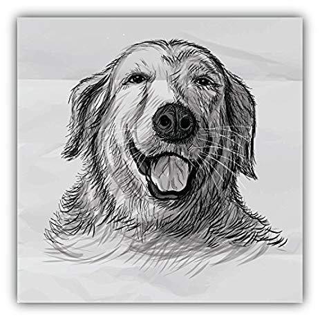 463x463 Golden Retriever Dog Head Sketch Art Decor Bumper - Golden Retriever Sketch