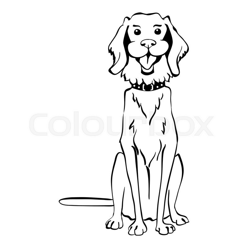 800x800 Sketch Funny Dog Golden Retriever Breed Sitting Breed Hand Drawing - Golden Retriever Sketch