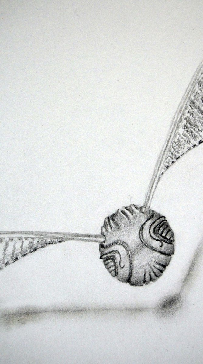 668x1197 Golden Snitch By Wisher367 - Golden Snitch Sketch