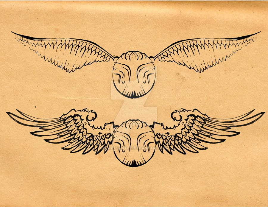 900x695 Golden Snitch By Blindthistle - Golden Snitch Sketch