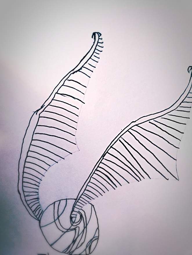 662x877 Golden Snitch Drawing Harry Potter Amino - Golden Snitch Sketch