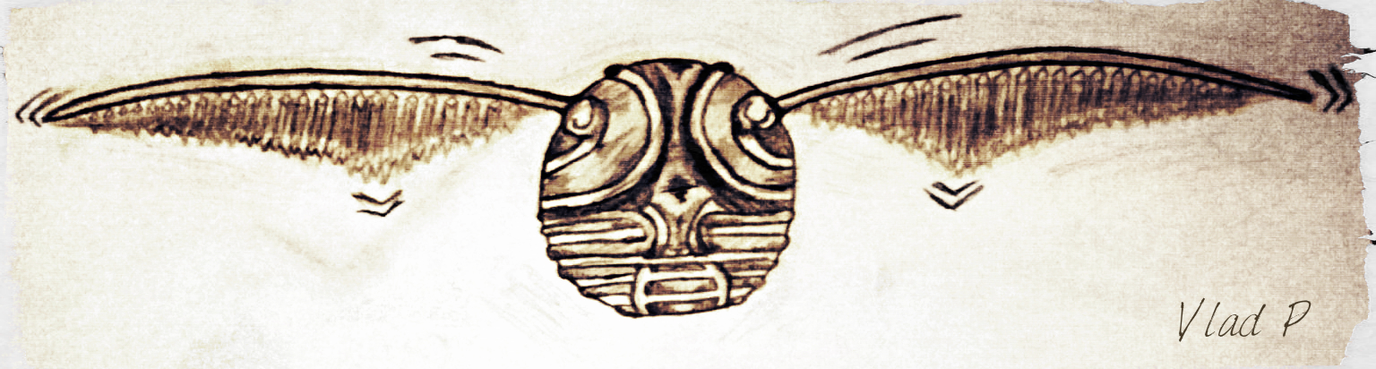 1536x412 Golden Snitch Sketch By Popicavlad - Golden Snitch Sketch