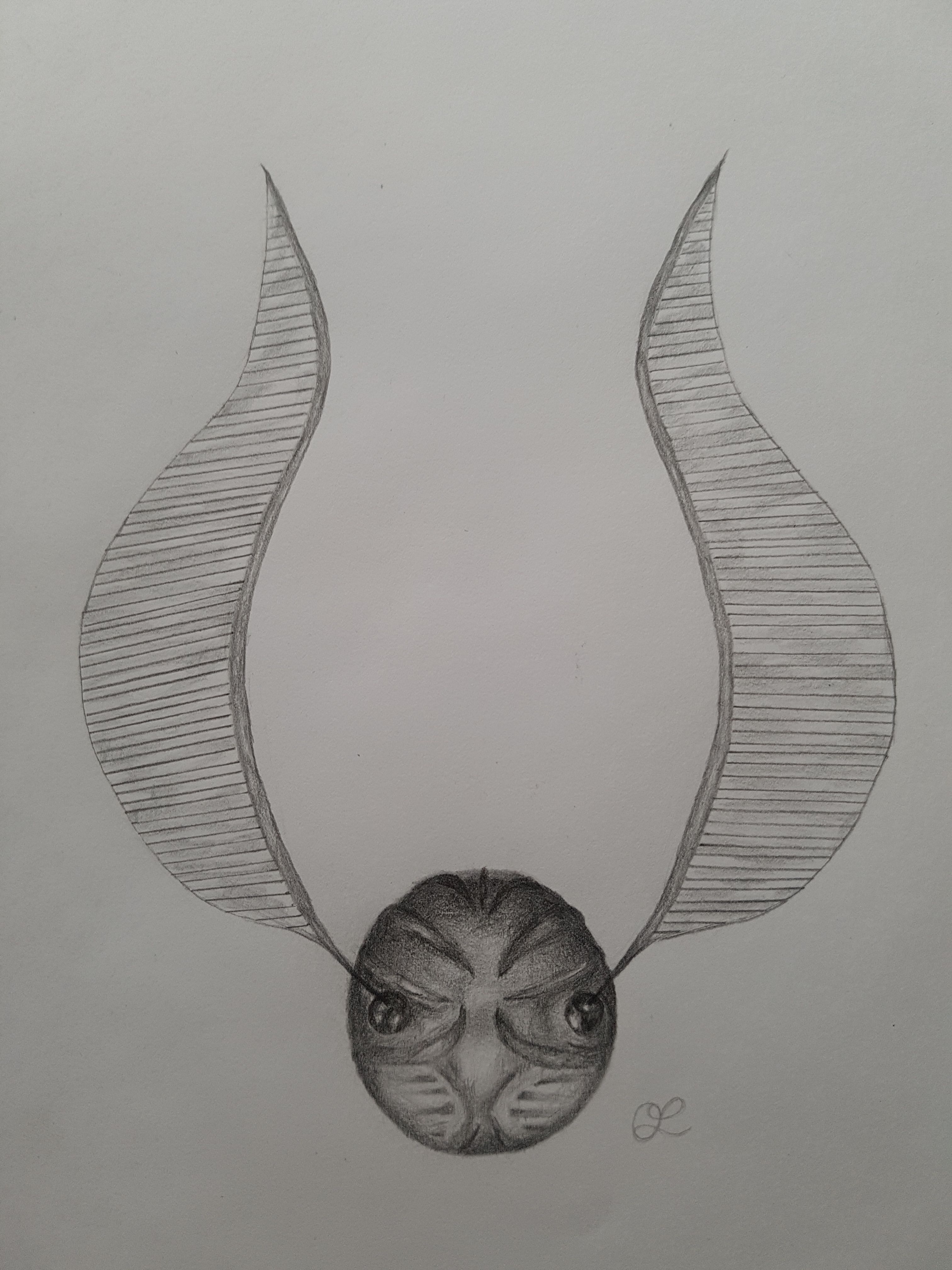 3024x4032 Drawing - Golden Snitch Sketch