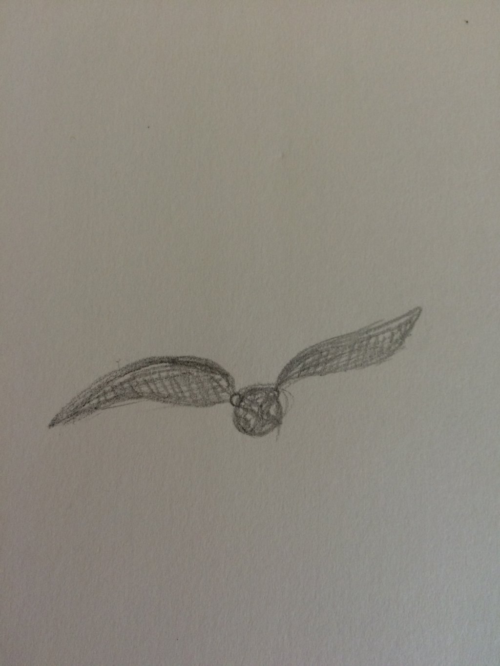 1024x1365 Golden Snitch (Very Rough Sketch) By Evybug - Golden Snitch Sketch