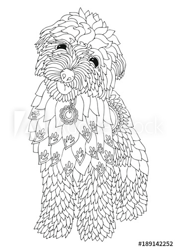 354x500 Golden Doodle. Hand Drawn Dog. Sketch For Anti Stress Adult - Goldendoodle Sketch