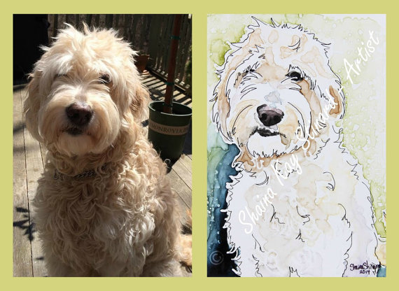 570x416 Custom Pet Portraits Watercolor Sketch On Yupo 5 X 7 Samples - Goldendoodle Sketch