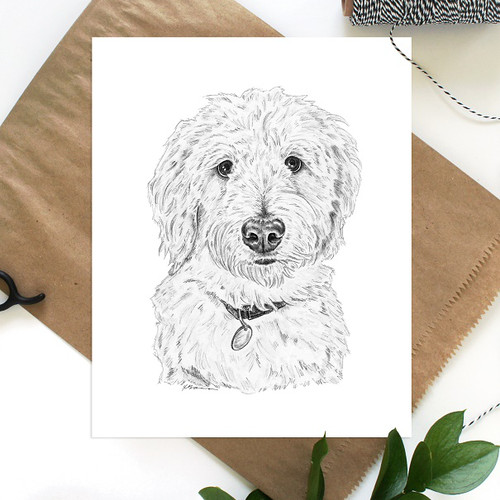 500x500 Shop Animal Art Prints + Animal Wall Art The Secret Zebra - Goldendoodle Sketch