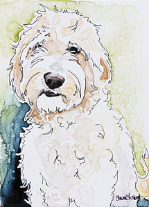 215x300 Sketch Pen Paintings Fine Art America - Goldendoodle Sketch