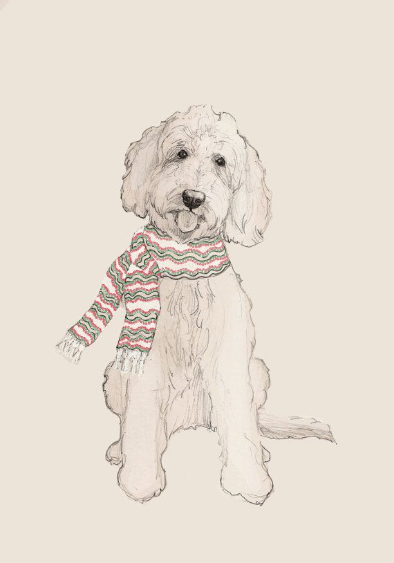 Goldendoodle Sketch at Explore collection of