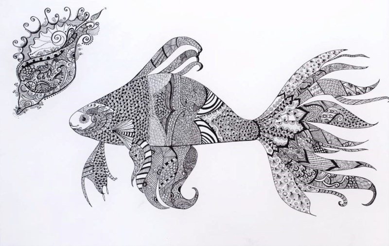 800x507 Goldfish Sketch Trade Me - Goldfish Sketch