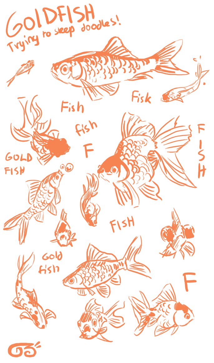 686x1163 Goldfish Sketches By Griffsnuff - Goldfish Sketch