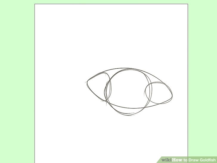 728x546 How To Draw Goldfish 9 Steps (With Pictures) - Goldfish Sketch