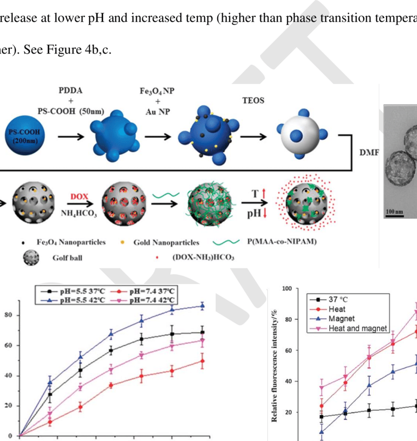 850x898 A. Sketch Of Temperature And Ph Sensitive Polymer Coated Mgnsdox - Golf Ball Sketch