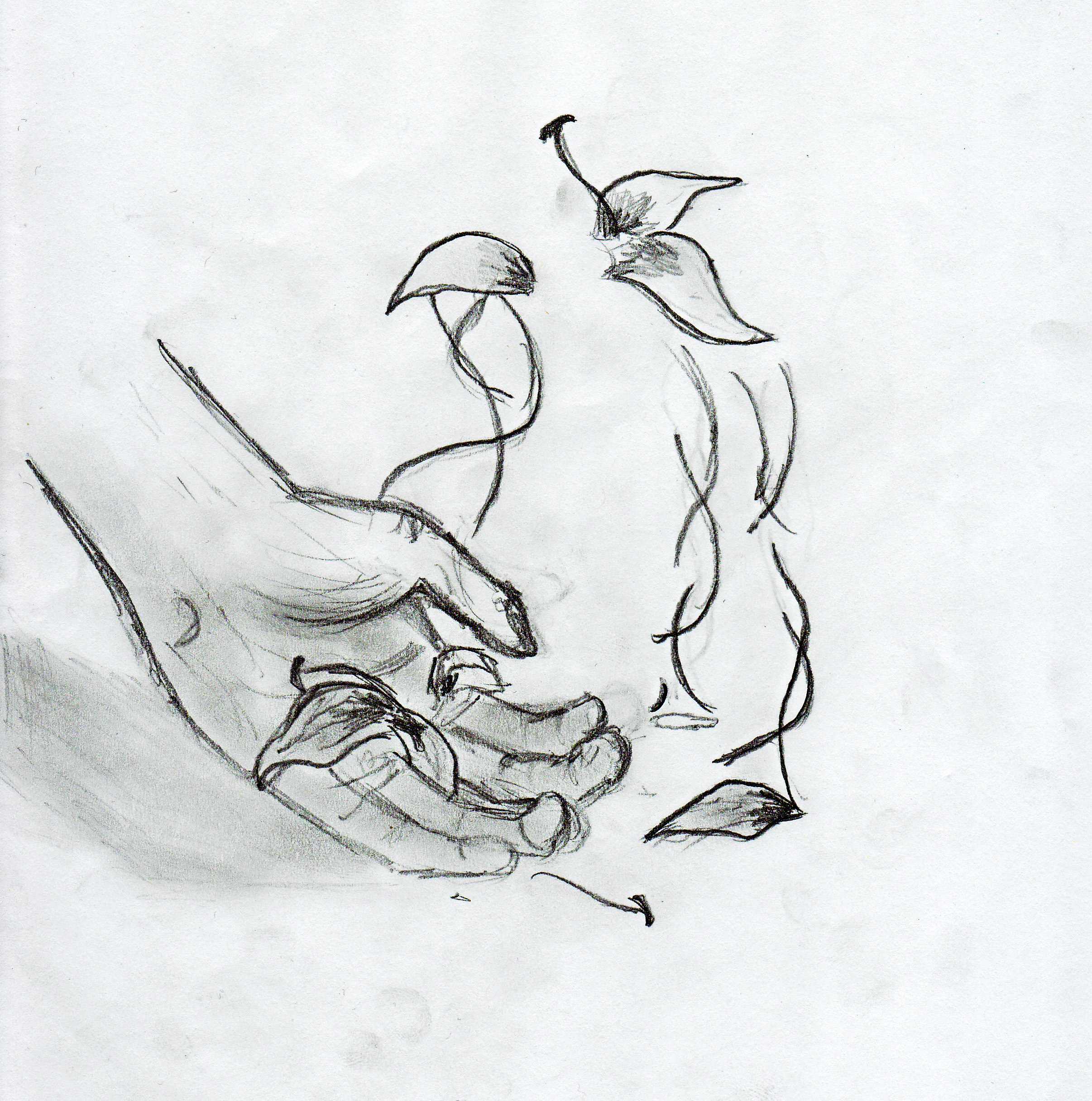 2412x2430 Sketching Drawing Ideas Euphoria - Good Sketch Ideas