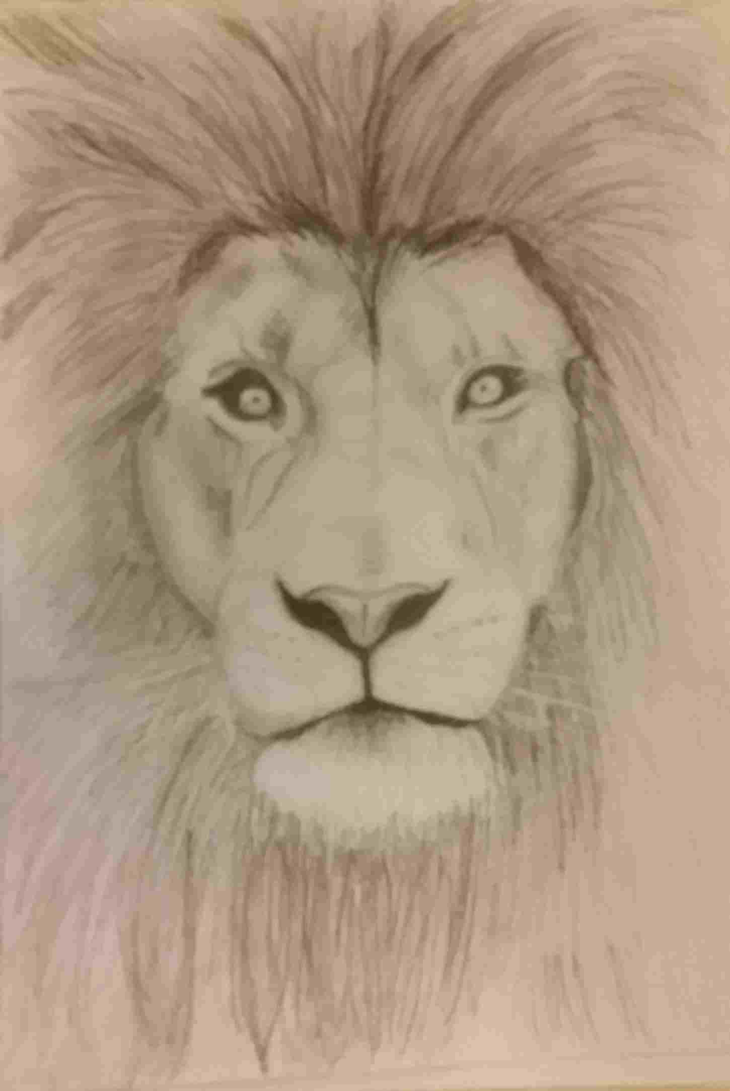 1450x2165 Best Drawing Ideas Easy Sketches For Beginners The Images - Good Sketches