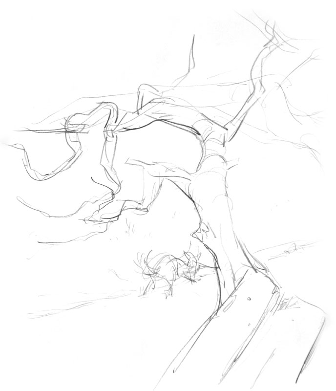 688x800 Goodbye Trees Aj Aiken - Goodbye Sketches