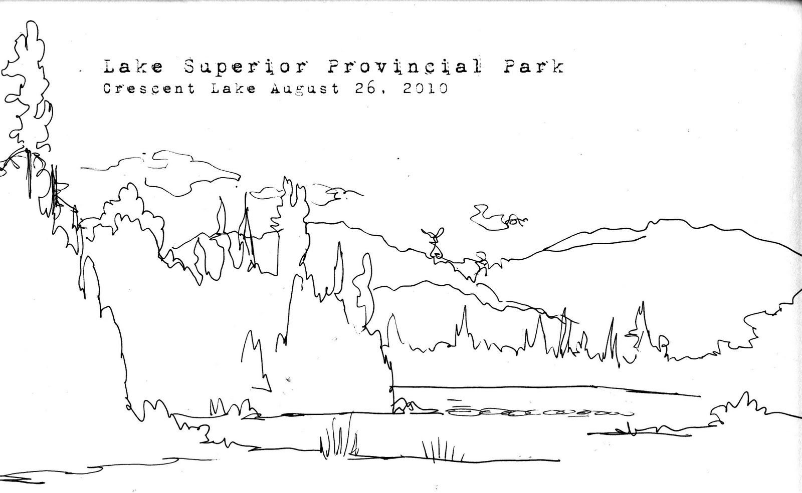 1600x985 Shrub Quick Sketch - Google Quick Sketch