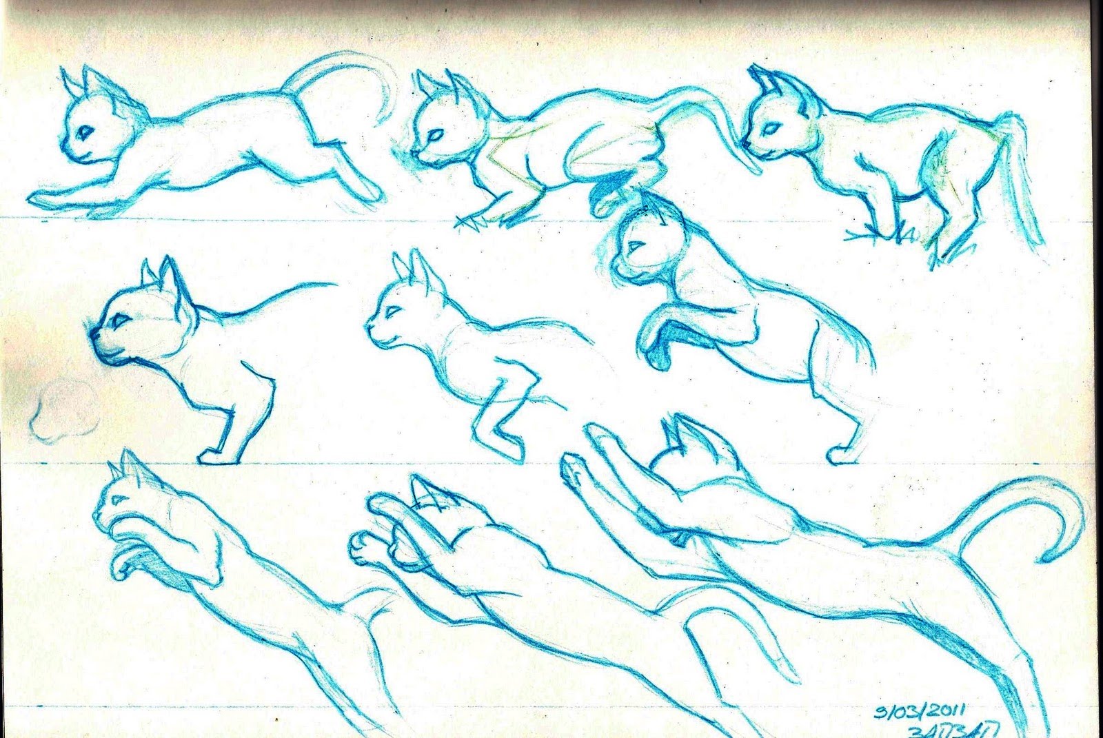 1600x1071 Idea - Google Sketch Animation